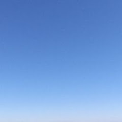 元奨ヤスの将棋実況