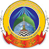رضوی نیٹ ورک