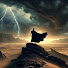 JAOV9y0BOOI-channel-avatar-Cosmic Echoes