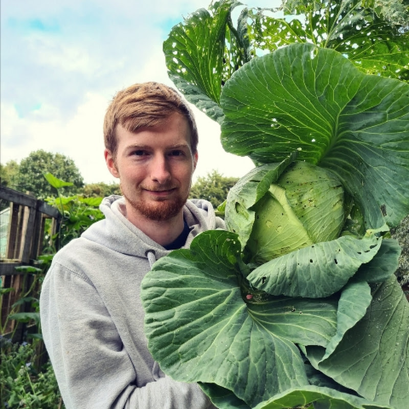 Down To Earth With Jim Logo