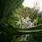 Photo of @naturalbeauty-yw1lq
