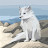 @user-vx3zq5dy5d