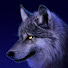 wolf 88