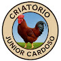 Avatar de Criatório Junior Cardoso