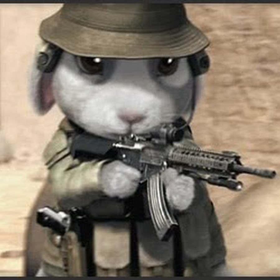 military-bunny-youtube