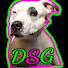 kF5vEp-1Qwk-channel-avatar-DogShy.te-Gaming