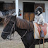 Мопся horse