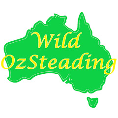 Wild Aussie Homestead