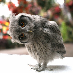 晴れたらいいね！