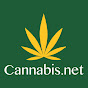 Cannabis Strains For Bladder Cancer Photo