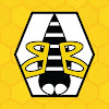 BumbleB 3339