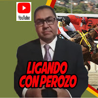LIGANDO CON PEROZO profile image