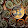btc_real