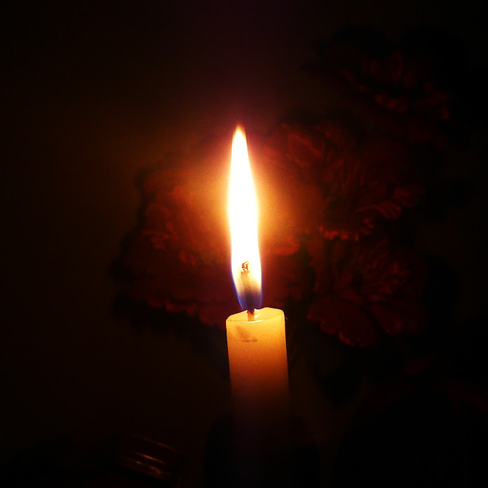 Try2Stand Net Worth & Earnings (2026)