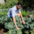 2-Jr4OVJ8v0-channel-avatar-Garden on the moors