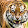 Tiger147 Lion