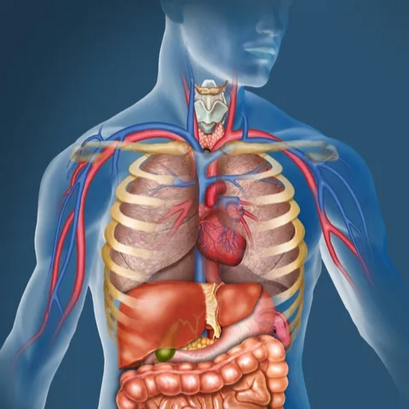 हेल्थ3dtips.