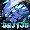 b2j135
