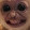 Cheeky Munkey