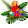 parrot show