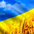 Анна Желязко