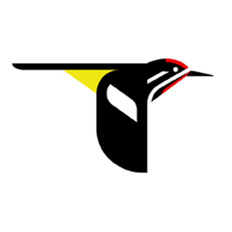 Cornell Lab Bird Cams Project YouTube