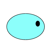 ゆっくりカジキ