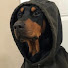 Анна Милая