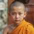 Rbk5_j51r2c-channel-avatar-Teaching Dharma
