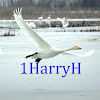 1HarryH Nature Relaxation Videos