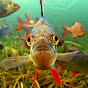 Underwater Ireland / Подводная Ирландия