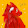 Devus the wolf