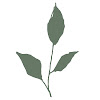 Optimum Health Vitamins