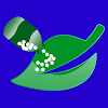 Kamalat e Sulemani on YouTube Kamalat e Sulemani on YouTube