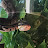 14 Stupid lizard Adventures
