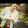 javier roqip x