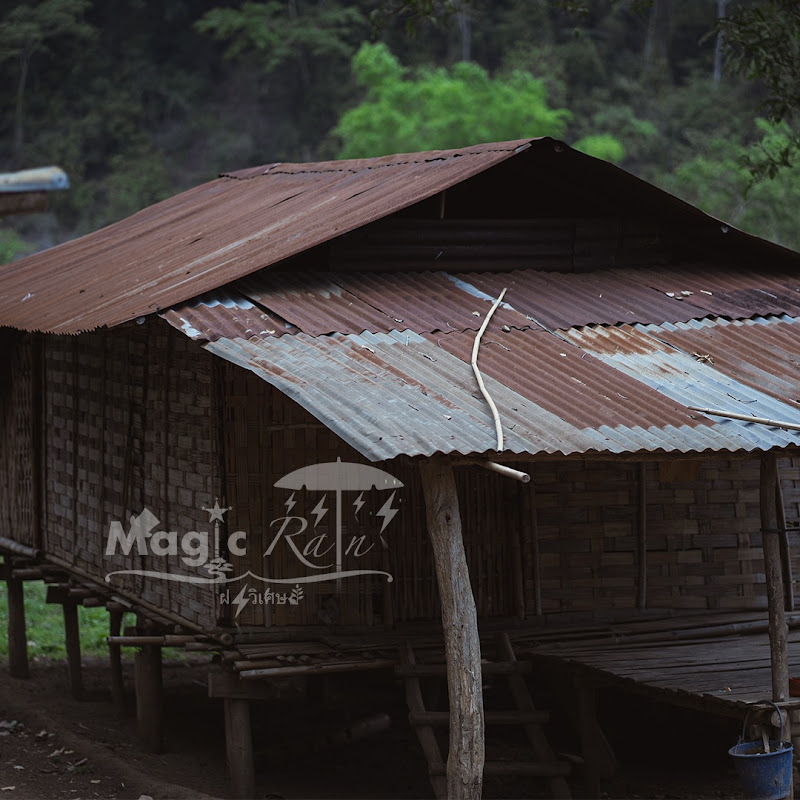 Magic rain ฝนวิเศษ Logo