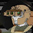 @BroIsBroVR Avatar