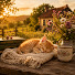 4eYkakn22Ao-channel-avatar-Soft Paws Piano