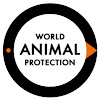 World Animal Protection Canada