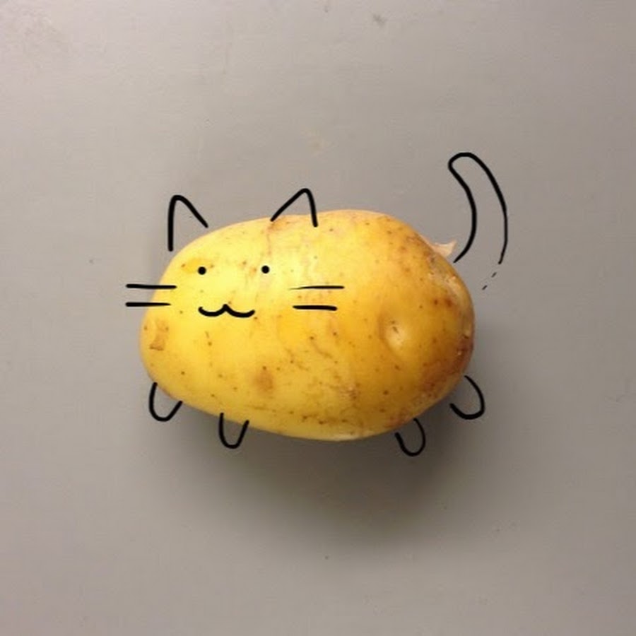 jelly cat potato