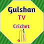 Gulshan TV cricket logo