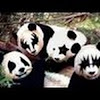 GetAddictedTV
