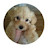 @라푸-man