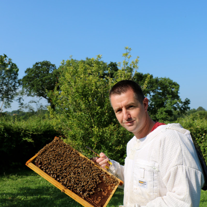Fabien Laloi - Le Coin des Apiculteurs