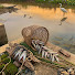 mhulh0_fh6o-channel-avatar-Natural andlife 