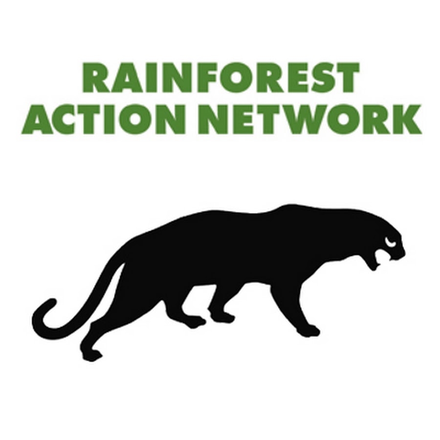 free english tv live channels Network Action YouTube Rainforest free english tv live channels Network Action YouTube Rainforest