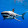 SharkLaserTr 171744