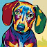 Engels Dachshund