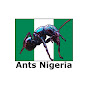 Ants Nigeria logo